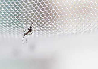 Tips Ampuh Basmi Nyamuk Dengan Obat Nyamuk Elektrik di Era Pandemi!